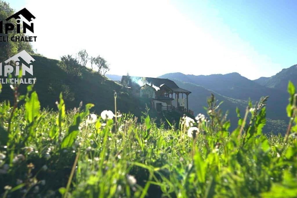 Alpin Zeneli Chalet